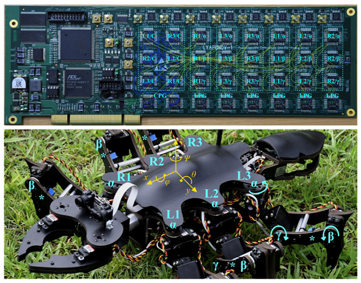Figure 1. Views of the circuit board implementing the controller and of the robot (reproduced with permission from published article).