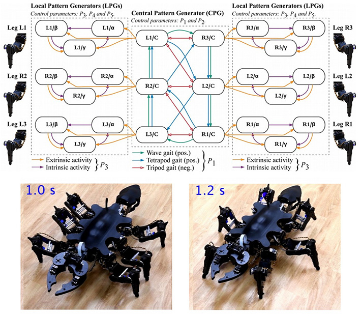 Representation of the controller and images of two robot postures © IEEE Access