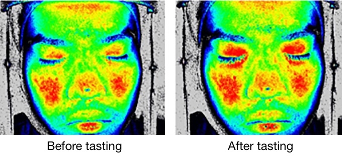Facial blood flow changes in a subject who felt that consomm tasted good. Red areas indicate high blood flow, and blue areas indicate low blood flow. After tasting the consomm, blood flood in the eyelids increased. (Palatability of tastes is associated with facial circulatory responses, Chemical Senses)