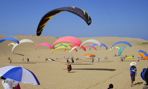 Paragliding event held at Tottori Sand Dunes, in western Japan.
