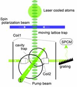 Quantum computing: Manipulating a single nuclear spin qubit of a laser cooled atom