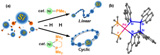Polysilane Rings: Selective Cyclopolymerization using Transition Metals