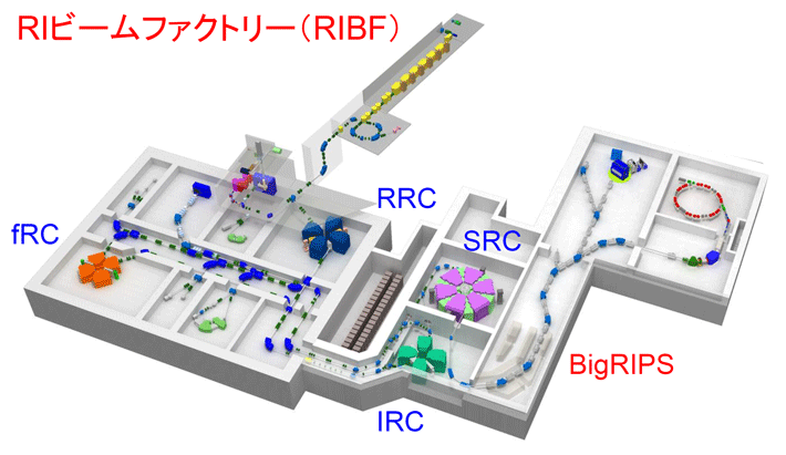 図2 RIビームファクトリー（RIBF）の構造 RIBFは、重イオンビームを供給する加速器系（サイクロトロンのRRC、fRC、IRC、SRCなど）、超伝導RIビーム分離生成装置のBigRIPSからなるRIビーム生成系、そして生成系で生成したRIビームを用いて多角的な研究?利用を行う基幹実験装置系から構成される。