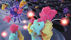 Quenchbody Immunosensors Pave the Way to Quick and Sensitive COVID-19 Diagnostics