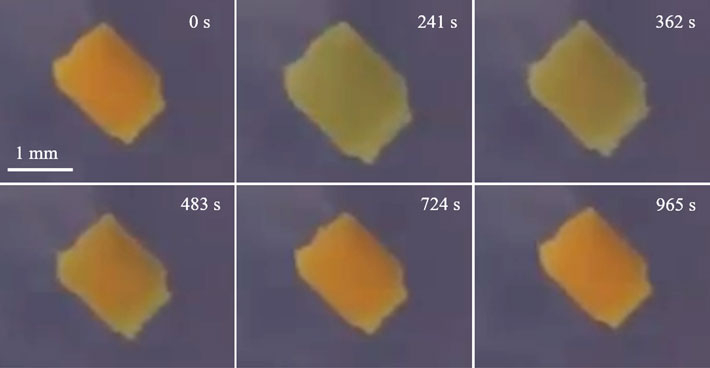 図1 BZゲルの周期変化のスナップショット。この例では約1,000秒おきに橙色と緑色を周期的に行き来する。 