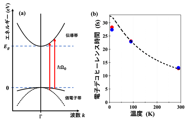 図2. 電子デコヒーレンス時間の温度依存性。左はイメージ図、右は温度依存性結果。青丸と赤丸は三角形状の持ち上がりの高さと幅から求めた電子デコヒーレンス時間、点線は電子衝突から見積もった理論値である。